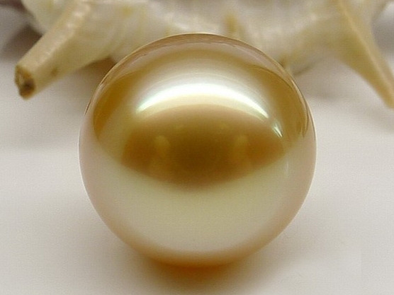 Golden South Sea Pearl Perfect Round Golden South Sea Pearl Perfect Round